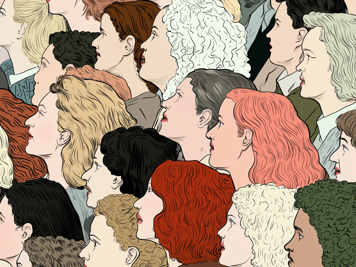 Developer Portfolio Templates